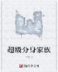 超级分身系统txt临西