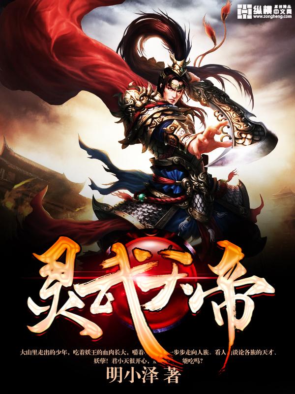 灵武帝尊天府是怎么划分