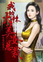 我的火辣美女总裁方芳江南txt