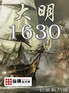 大明1630TXT百度