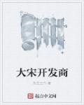 大宋公司