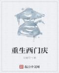 重生西门庆电影