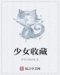 美少女收藏家个人资料
