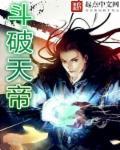 气武境灵武境地武境天武境 神帝 境界