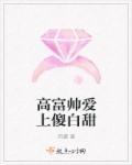 高富帅爱上傻白甜 菏黛