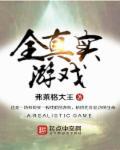 游戏真实版