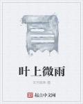 晚叶微雨