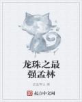 龙珠之最强选项系统