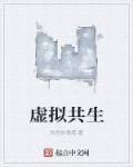 光暗共生体赛罗