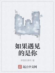 如果遇见你歌曲