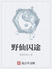 野仙踪