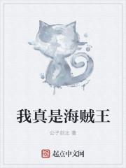 海贼王之我真的不是克罗达尔