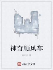 顺风车奇遇记全集