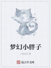 梦幻小胖解说