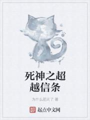 死神超越者设定