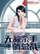 无敌高手俏总裁叶宇