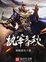 宰执天下讲的是什么