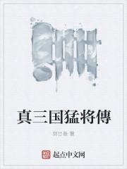 三国猛将传官网