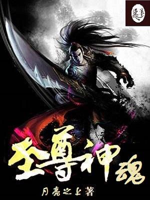 至尊神魂秦风