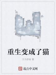 重生变成猫的黑炭
