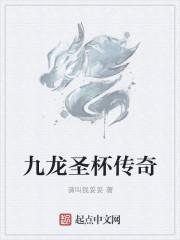 圣杯九含义