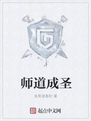 师道成圣TXT精校