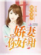 娇妻撩又甜全文阅读
