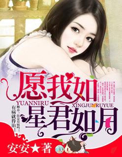 愿我如星君如月下一句怎么说