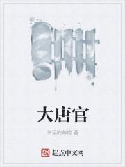 大唐官府乾元丹怎么加