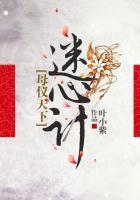 电视剧母仪天下爱奇艺