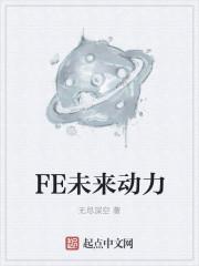 未来动力有限公司