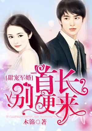 首长大人太凶猛军婚绵绵TXT