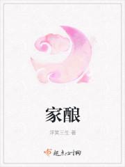 叙府家酿