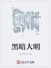 黑暗光明