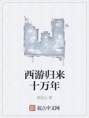 西游归来安装