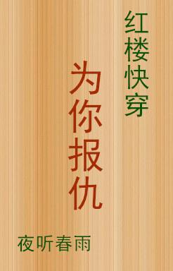 快穿红楼为你报仇无弹幕