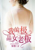 我的极品女老板结局是什么