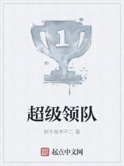 超级领队上海咨询有限公司