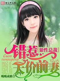 狼性总裁的天价前妻