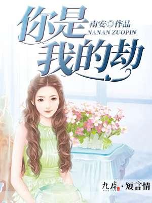 你是我的劫歌词陈陈陈