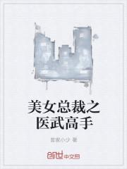 美女总裁的医少