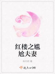 穿越成红楼最尴尬夫妇