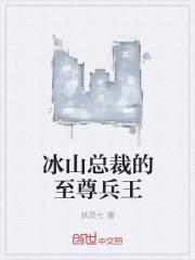 冰山总裁的至尊兵王龙刺