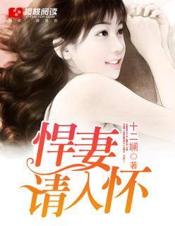 悍妻进门