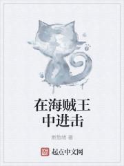 进击的巨人 海贼