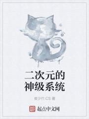 二次元系统txt