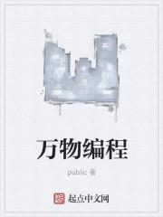 万物编程器智慧丹