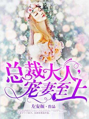 总裁大人宠妻无度