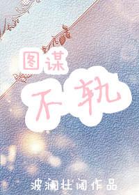 图谋不轨的人