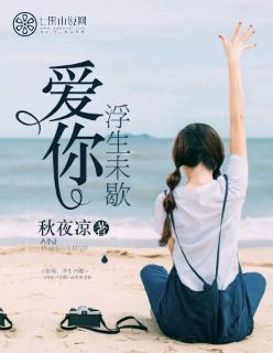 浮生未歇歌词是什么意思
